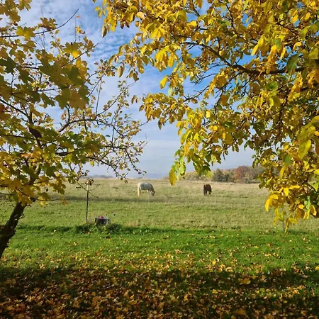 Kaholze